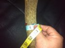 23 - long mid circum.jpg