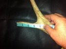 26 - long tine 2.jpg