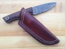 sheath3_zps534743c3.jpg