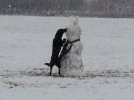 Duke & the Snowman.jpg