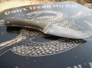 knives 010 (1024x768).jpg