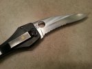 spydy3.jpg