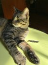 IMG_0470.jpeg