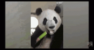 1670514712868.gif
