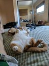 IMG_20170415_114102.jpg