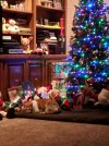 IMG_20171219_191931.jpg