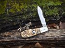 2022-tuna-norman-crosscut-02loBF.jpg