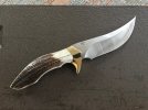 thumbnail_IMG_7869.jpg