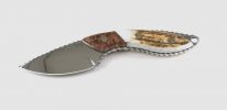 1 196 Mini Alpha burl and stag.jpeg