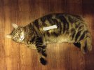 IMG_20221130_203332559.jpg