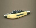 Stan Shaw Ivory sowbelly788.jpg