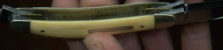 Stan Shaw Ivory sowbelly793.jpg