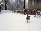 20221215_103543.jpg