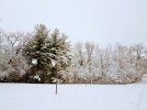 20221216_074605.jpg
