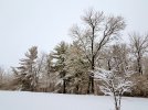 20221216_074624.jpg