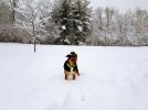 20221216_074641.jpg