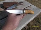 1201352100oliveblade.jpg 1201352100oliveblade.jpg