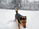 20221216_074644.jpg
