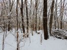 20221217_152355.jpg