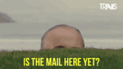 B052F963-CE0D-4EC2-98C9-1E95D5F791A2.gif