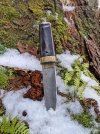 Kotanto-Portait-in-snow-and-ferns.jpg
