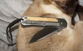 2006Annual_BoxElderBurl-OnCat1.jpg