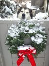 Deja Christmas.jpg