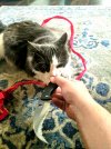 20221225_140836.jpg