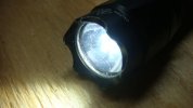 DSC01431.jpg