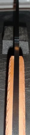 Large Shank Spine.jpg Large Shank Spine.jpg
