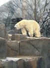 6F01BCC4-CA9D-4B01-8C0C-A27864F41348.jpeg
