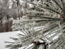 20221231_075139.jpg