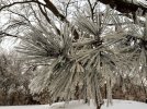 20221231_075257.jpg