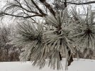 20221231_075301.jpg