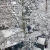 BC42C8D9-6C42-4005-8E31-372E546B4A50.jpeg