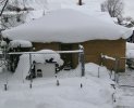 garage.from.backdoor.jpeg