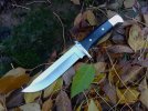 Buck 124.jpg