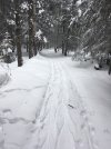 IMG_0788.JPG