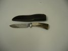 SDC13583.JPG