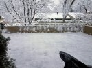 20230104_091144.jpg