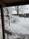 20230104_084932.jpg
