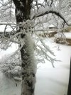 20230104_085236.jpg