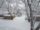 20230104_083548.jpg