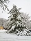20230104_074708.jpg