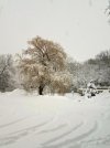 20230104_074711.jpg