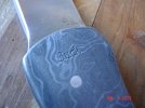 DSC07547.JPG