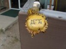 IMG_1070.jpg