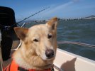 Fishing Pictures 2006 2007 043.jpg