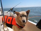 Fishing Pictures 2006 2007 042.jpg