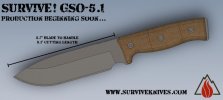 GSO5.1 profile.jpg